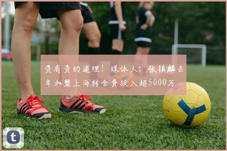 贵有贵的道理！媒体人：张镇麟去年加盟上海转会费投入超5000万